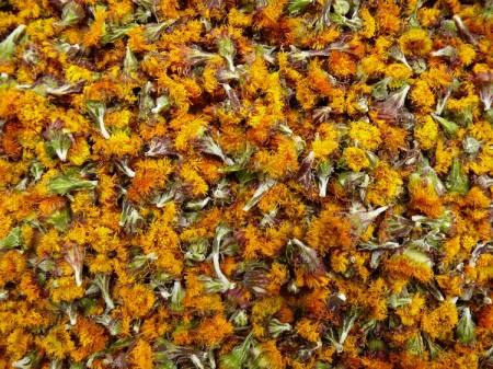 Podbeľový kvet (Flos farfarae) - 50 g